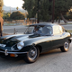 Illustration for article titled Los Angeles Mocks Us All With A Stunning Assortment Of Cars At A Random Morning Meetup